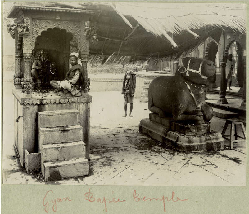 Navāṁśa Examination